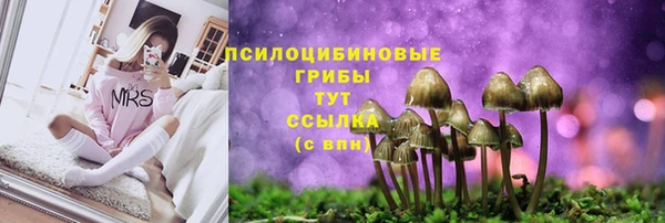 молекула духа Абаза