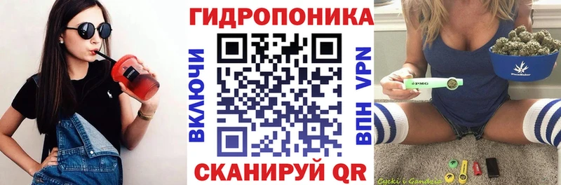 Бошки Шишки планчик  Инза 